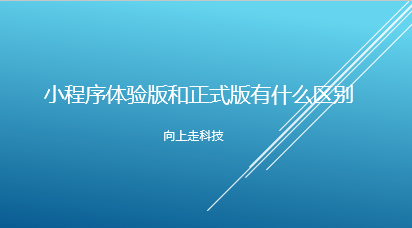 小程序體驗版和正式版有什么區別
