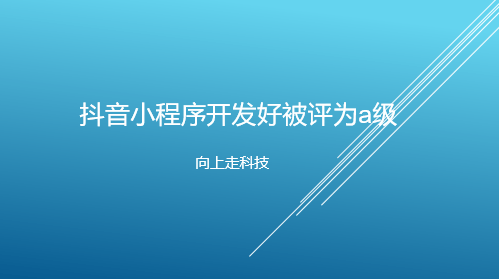 抖音小程序開發(fā)好被評為a級
