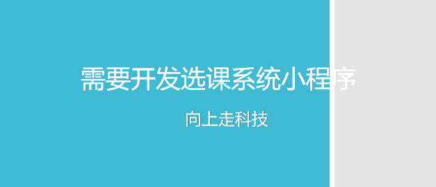 需要開發選課系統小程序