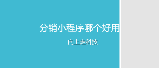 分銷小程序哪個好用 分銷小程序哪個好用
